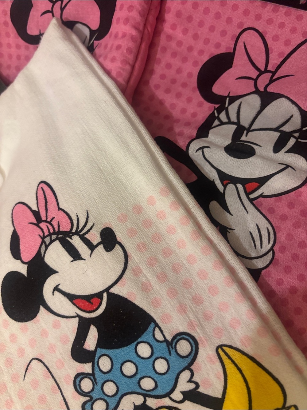 Disney Minnie Mouse Oven Mitts & Kitchen Towels